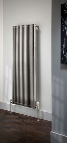 Accuro-Korle Cadence