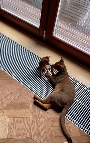 Конвектор U-con EK/EK2