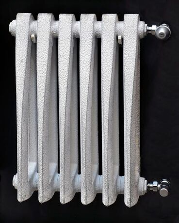 Radimax Chamonix спецпоскраска