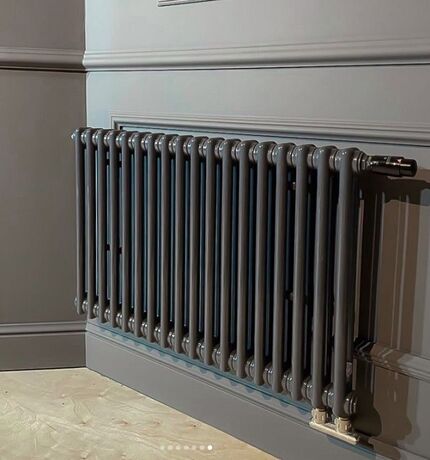 Горизонтальний 2-хтрубный радиатор Zehnder Charleston