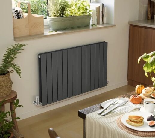 Дизайн-радиатор горизонтальный Terma FORTE V20