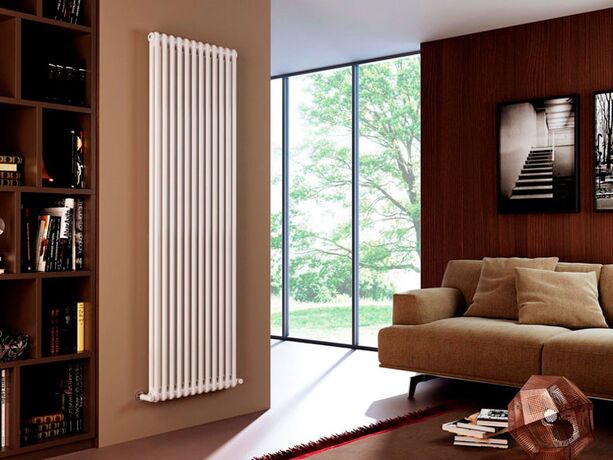 Arbonia Röhrenradiatoren 2180/12, подк 24, 9016